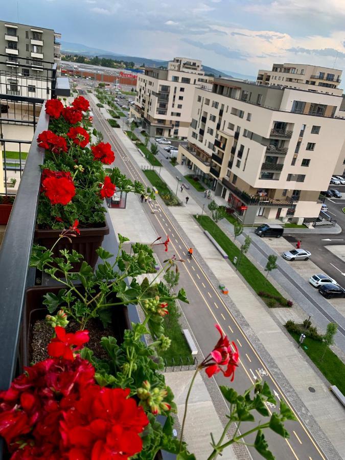Executive Apartment Avantgarden Coresi Μπρασόβ Εξωτερικό φωτογραφία