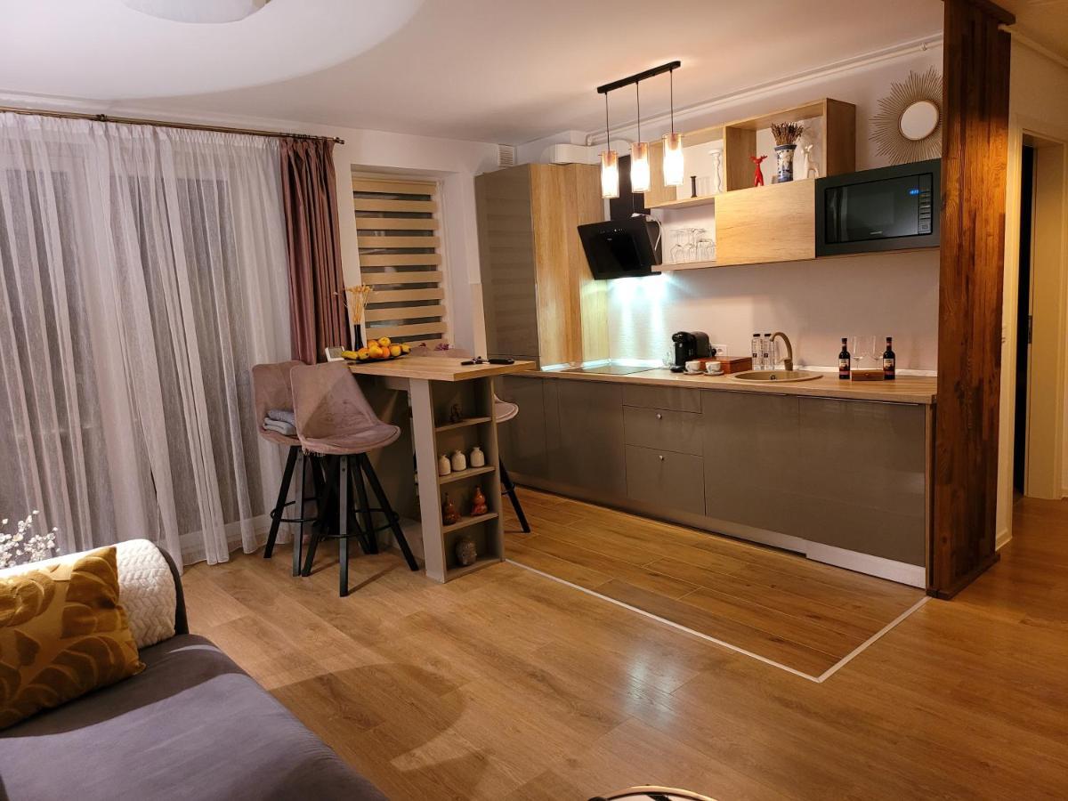 Executive Apartment Avantgarden Coresi Μπρασόβ Εξωτερικό φωτογραφία